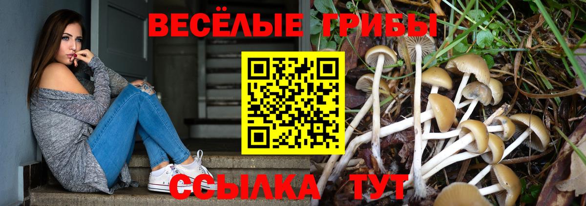 Магадан  Псилоцибиновые грибы мицелий  Вход с VPN 