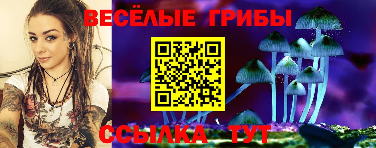 Псилоцибиновые грибы мухоморы Магадан